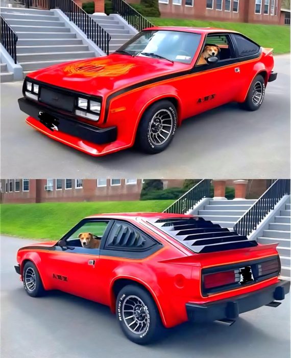 1979. AMC Spirit AMX 304 V8