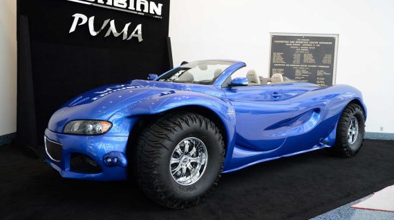 Youabian Puma