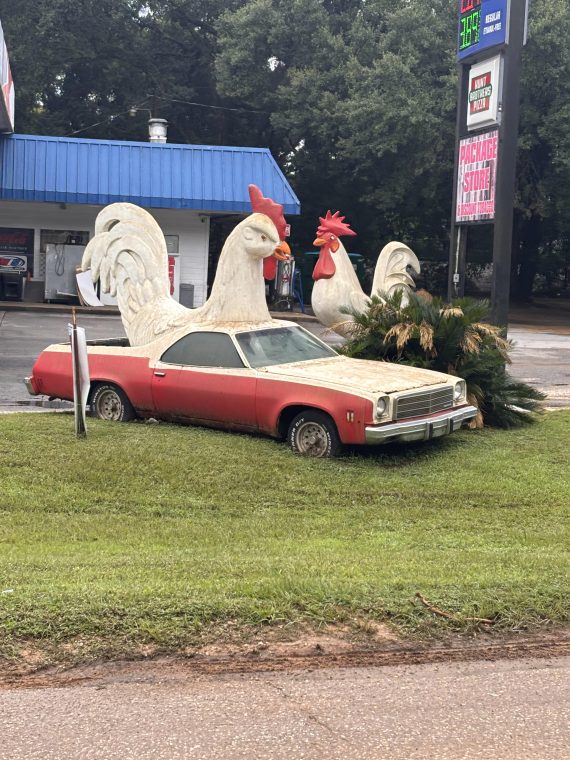 El Cockino