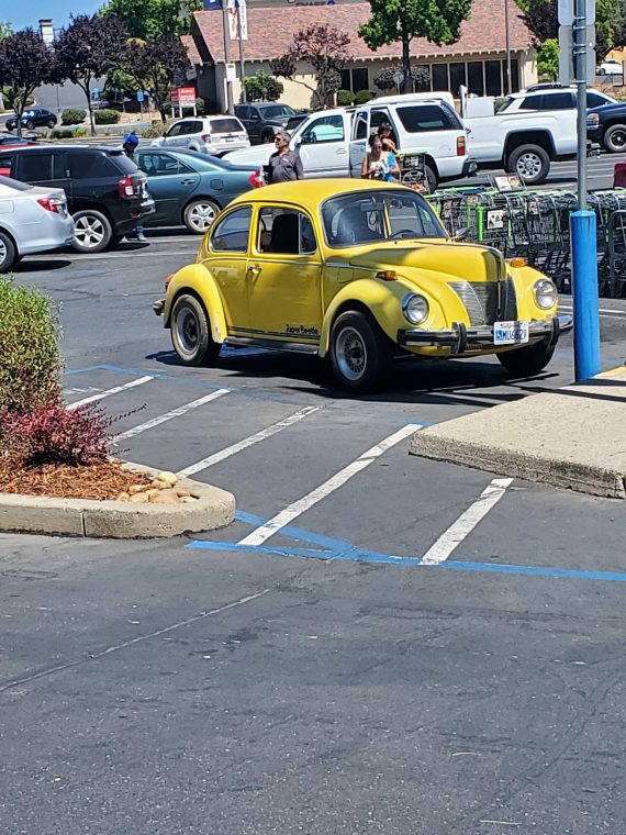 Seen around town, honestly I love it