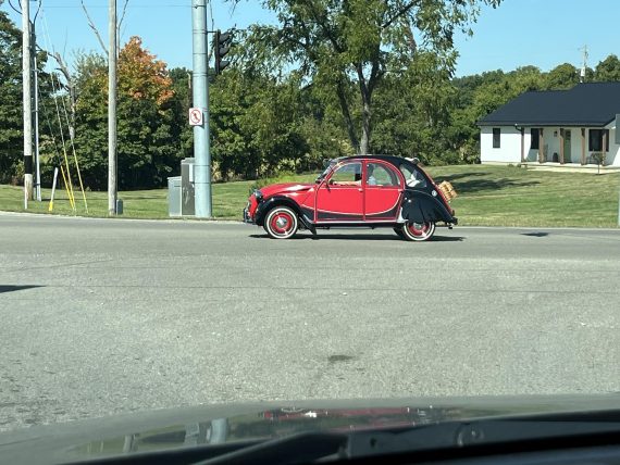 Definitely a head turner!