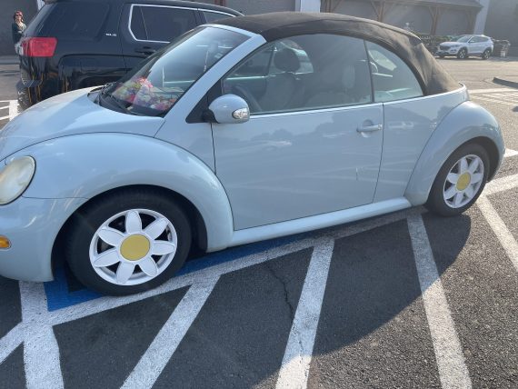 Found this at Walmart!