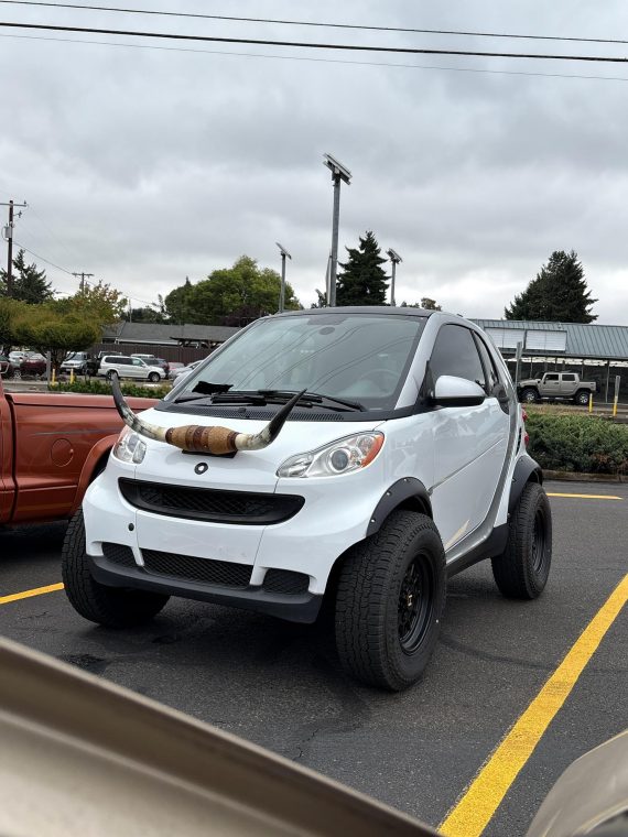 Came Across This Silly Lil Guy in the Work Parking Lot