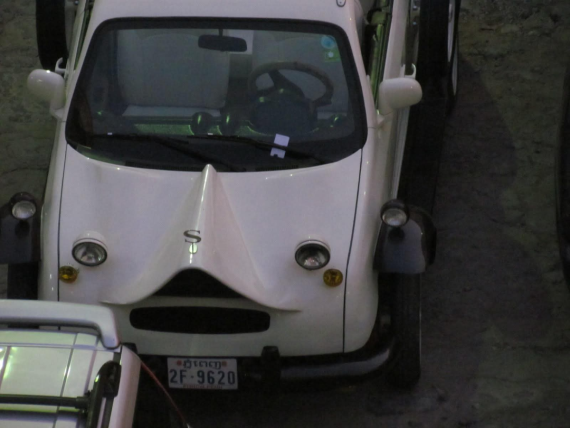 Any one know what this is?