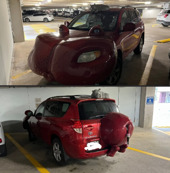 Toyota Rav4 Hippo edition